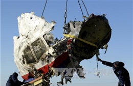 Nhóm điều tra vụ MH17 xem xét thành lập toà án độc lập